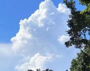 济宁天气预报,济宁7天天气预报,济宁15天天气预报,济宁天气查询